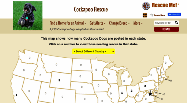 cockapoo.rescueme.org