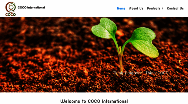 cocointernational.in