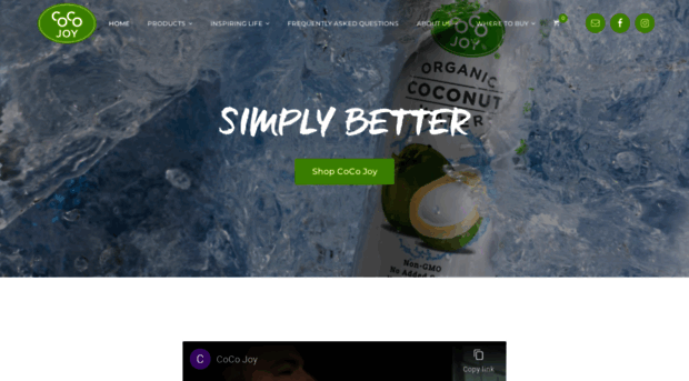 cocojoy.com