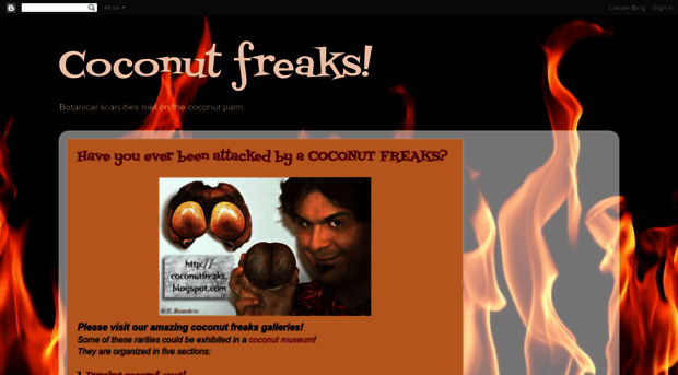 coconutfreaks.blogspot.com