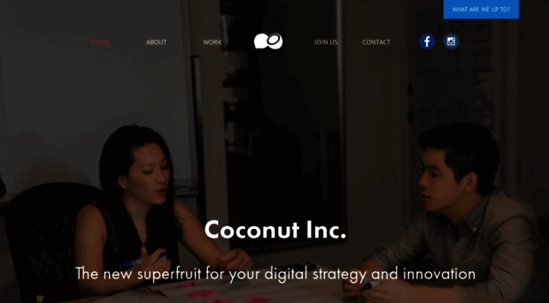 coconutinc.com