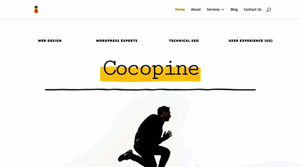 cocopine.co.za