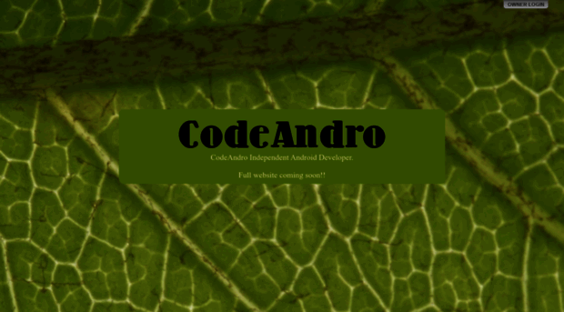 codeandro.com