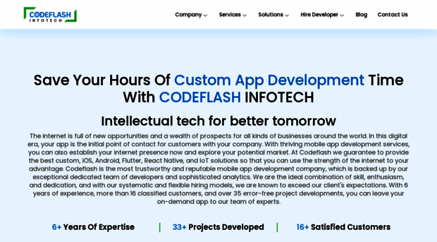 codeflashinfotech.com