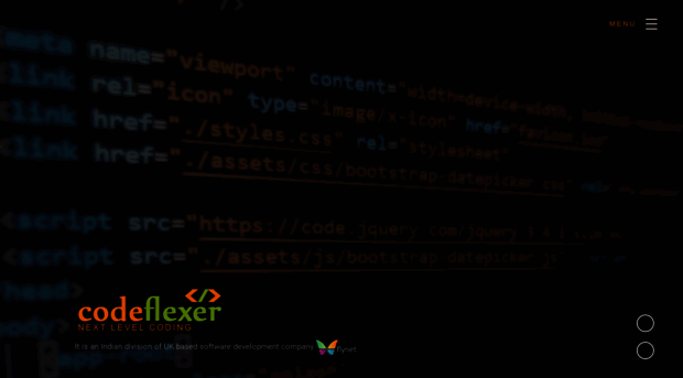 codeflexer.co.in