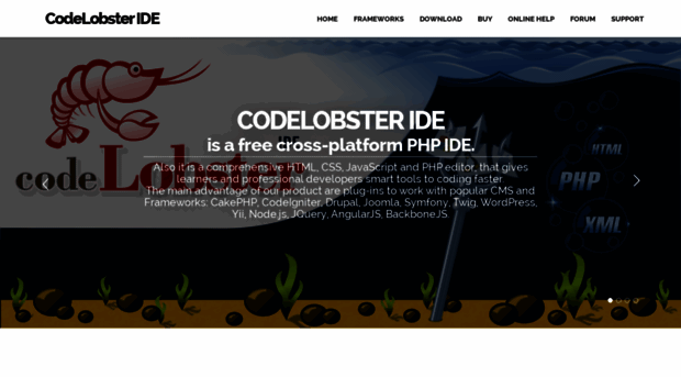 codelobsteride.com