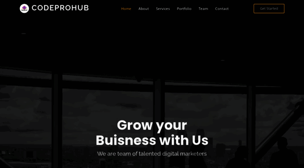 codeprohub.com