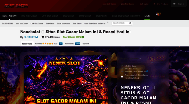 coderpro.net