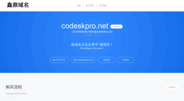 codeskpro.net