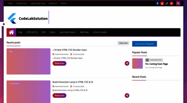codinglabsolution.com