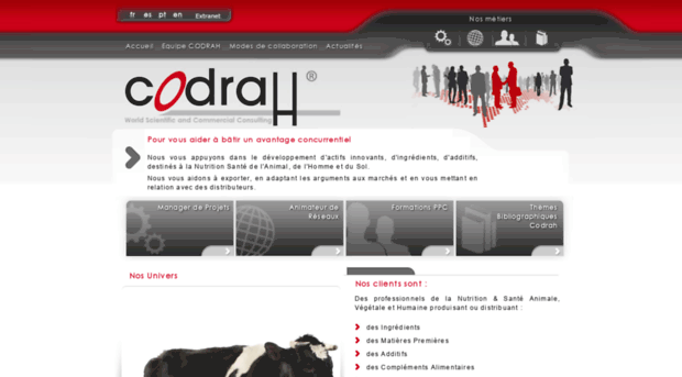 codrah.com