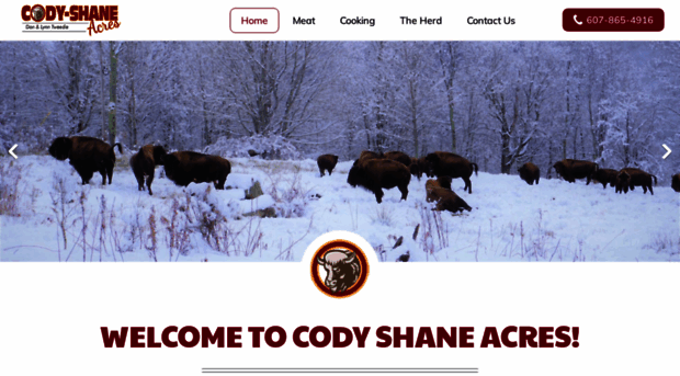 codyshaneacres.com