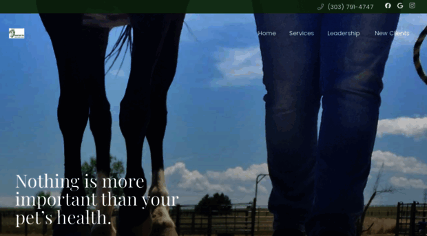 coequine.com