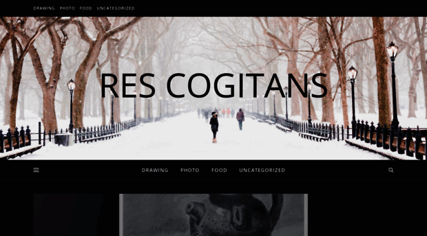 cogitans.net