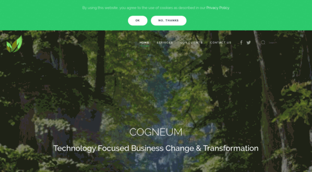 cogneum.com