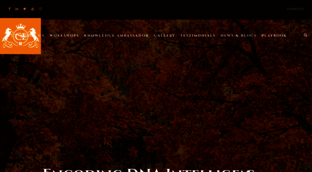 cognitiveexcellenceintl.com