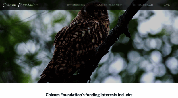 colcomfdn.org