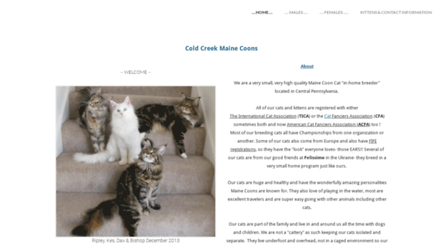 coldcreekmainecoons.com