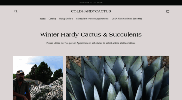 coldhardycactus.com