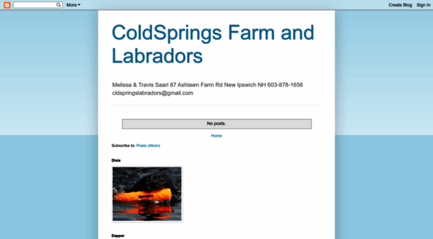 coldspringsfarmandlabradors.blogspot.com