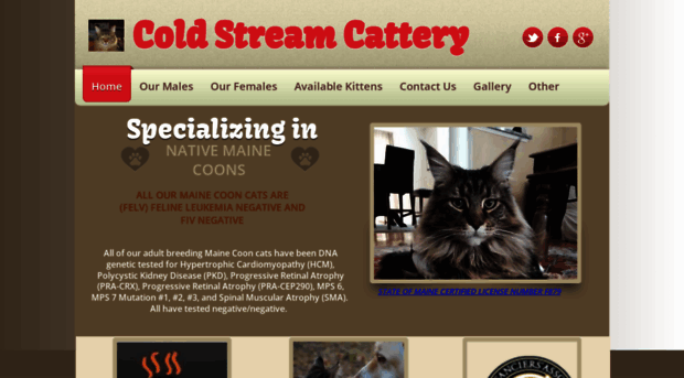 coldstreamcattery.com