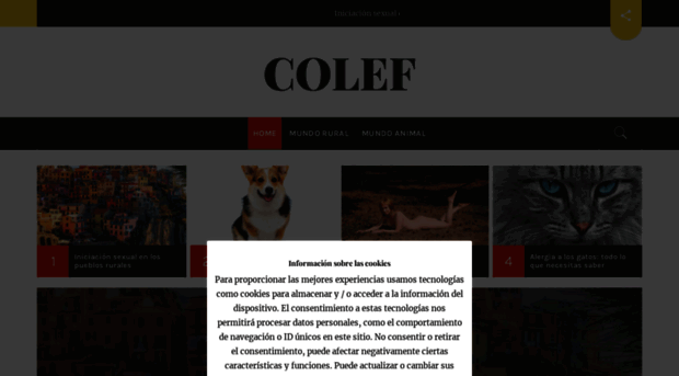 colef.net