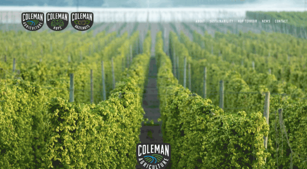 colemanag.com