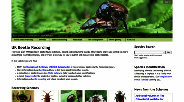 coleoptera.org.uk