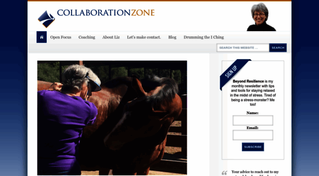 collaborationzone.com