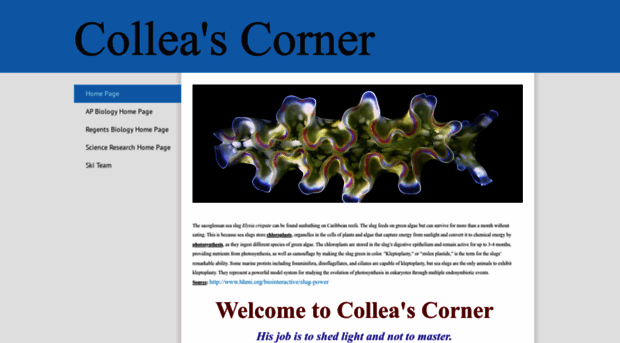 colleascorner.weebly.com