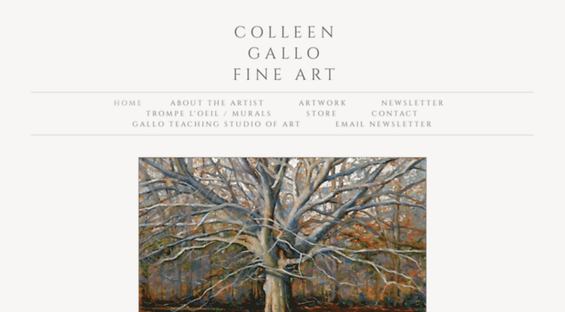 colleengallofineart.com