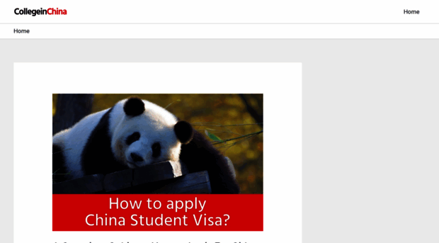 collegeinchina.com