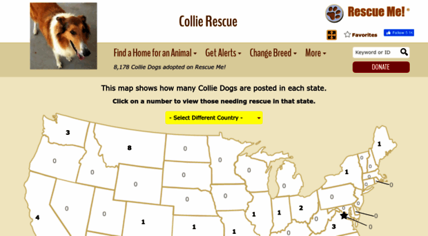 collie.rescueme.org