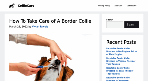 colliecare.com