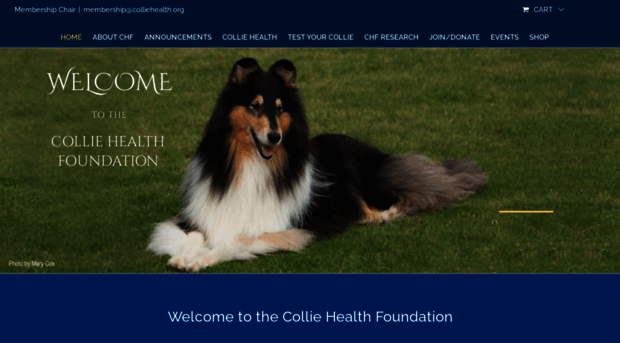 colliehealth.org