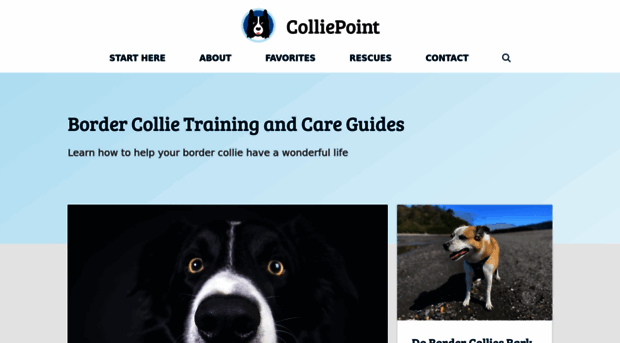 colliepoint.com