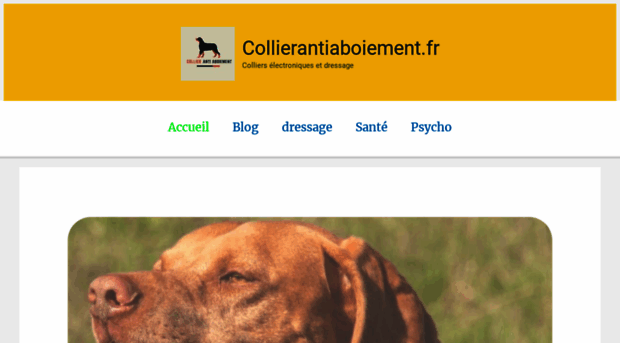 collierantiaboiement.fr