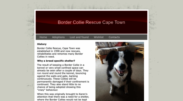 collierescue-capetown.com