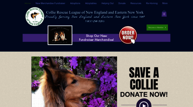 collierescueleague.org