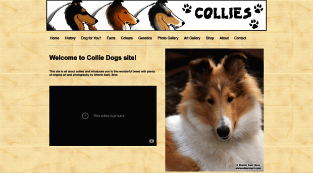 collies.yolasite.com