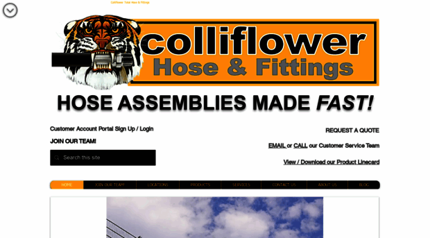 colliflower.com