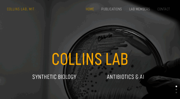 collinslab.mit.edu