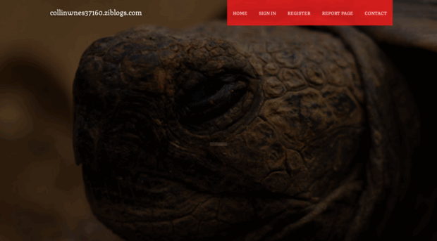 collinwnes37160.ziblogs.com