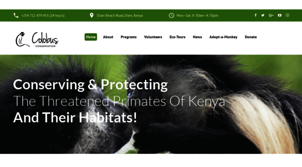 colobusconservation.org