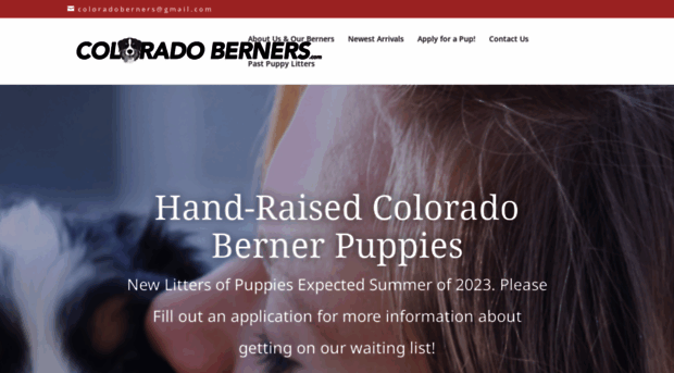 coloradoberners.com