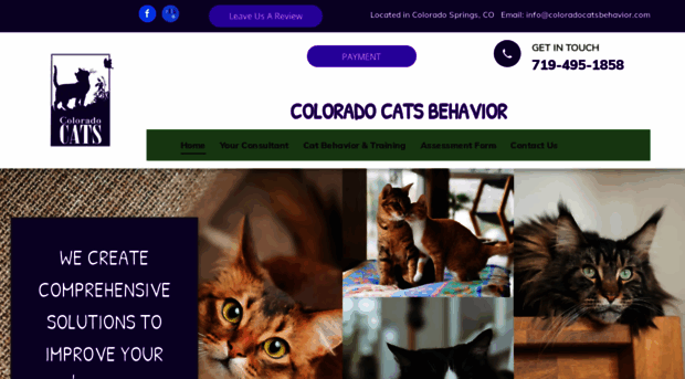 coloradocatshotel.com