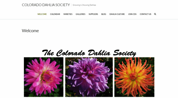 coloradodahlias.net