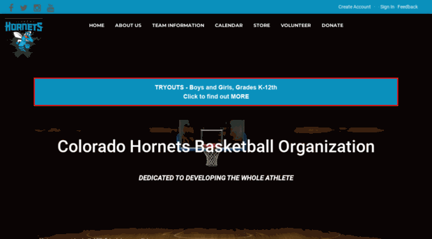 coloradohornets.org