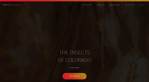 coloradoinsects.com