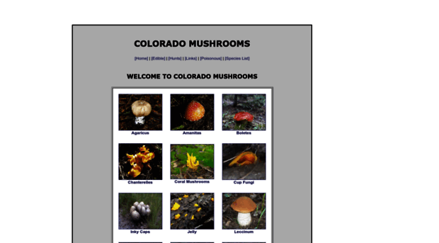 coloradomushrooms.com